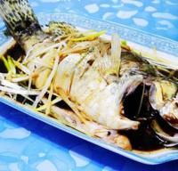 �����Z�~(y��)������