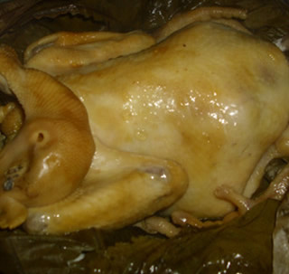 ���~�u������