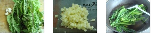 �����n�S�~�������D�Ĳ��E