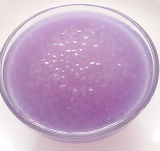 �����y������¶������