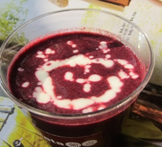 ɣ�����������