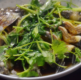 ���������~������