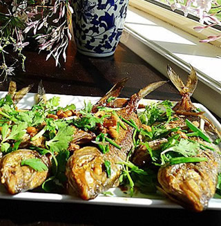 �S���u�����~������