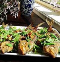 �S���u�����~������