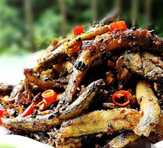 �������q������