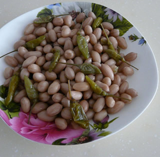 �ݽ�����������