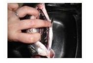 ���������a�~(y��)���������D�Ĳ��E