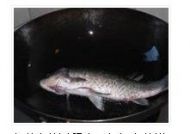 ���������a�~(y��)���������D�Ĳ��E