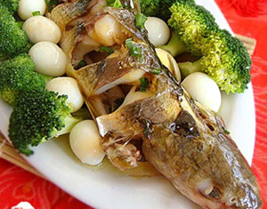 �������ࡪ�Sβ�a���������