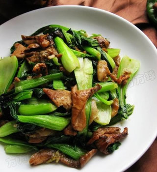 �Ͳ˳�Ģ��������