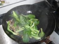 �Ͳ˳�Ģ���������D�Ĳ��E