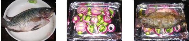 ���[���_���~�������D�Ĳ��E