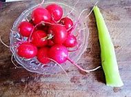 �Ǵי���С�}���������D�Ĳ��E