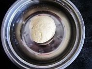 ����~�N����������D�Ĳ��E