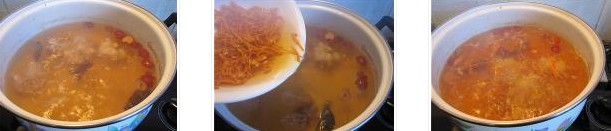 鱷魚蟲草花湯的做法圖文步驟