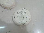 ��֥��ǧ��������D�Ĳ��E