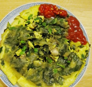 �B�T���м������