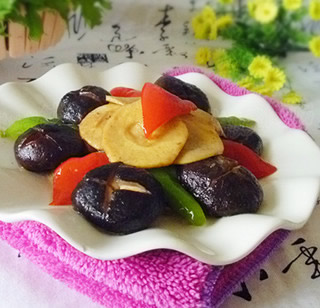 �㹽�F���S������