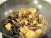 �t������������D�Ĳ��E