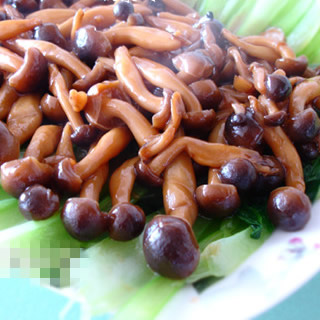 зζ�����Ͳ˵�����