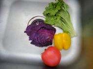 ��ɫ�u����������D�Ĳ��E