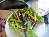 ��ɫ�u����������D�Ĳ��E