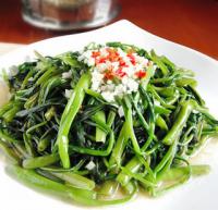 ���׿��Ĳ˵�����