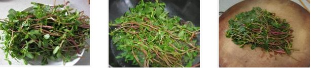 涼拌馬齒莧的做法圖文步驟