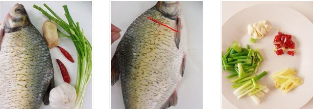 �Ǵ����~�������D�Ĳ��E