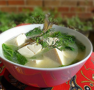 ��˶�����������