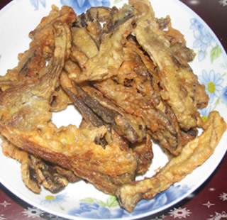 ըĢ��������