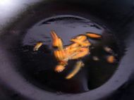 ���S�����~�������D�Ĳ��E