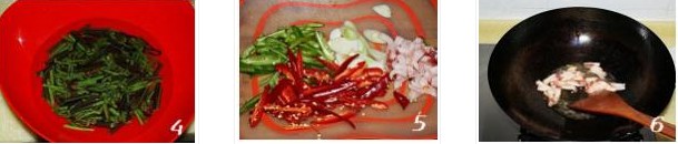 ާ�˳���z�������D�Ĳ��E