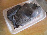 �t�����A���u���������D�Ĳ��E