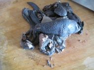 �t�����A���u���������D�Ĳ��E