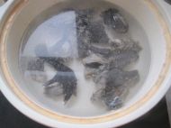 �t�����A���u���������D�Ĳ��E