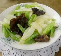 ���۳�ɽˎ������