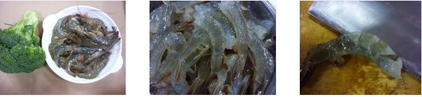 �u�u��Ƥ�r�������D�Ĳ��E