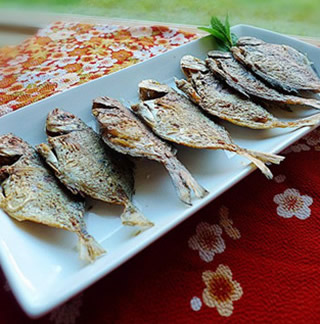 �ɼ庣�~������