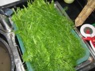 ����C�����ӵ������D�Ĳ��E