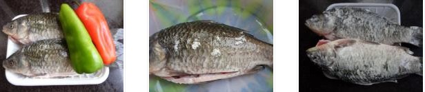 �ҳ��a�~�������D�Ĳ��E