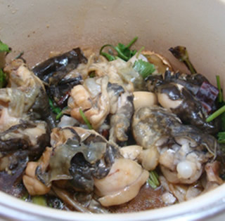 ������ţ�ܵ�����