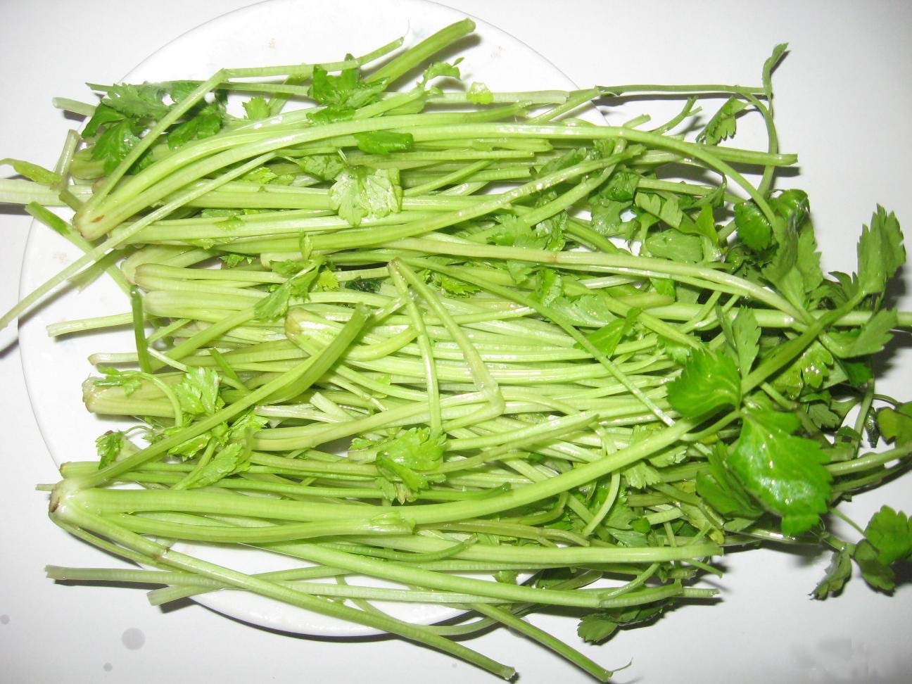 �����۲˵������D�Ĳ��E