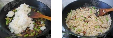 ���{�D�c��������D�Ĳ��E