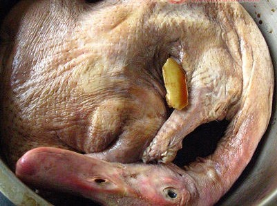 ����S�ǰˌ����������D�Ĳ��E