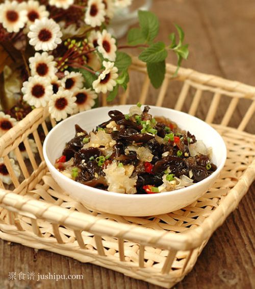 �����p��������