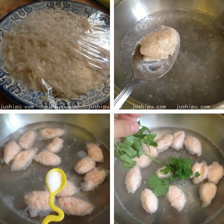 �r�������� www.sk010.cn