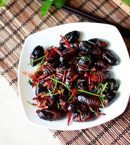 �����QӼ������ www.sk010.cn