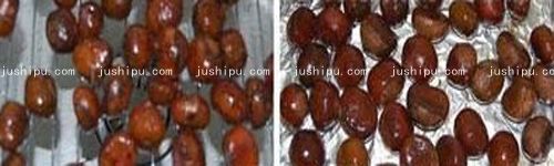 �ǿ����ӵ����� www.sk010.cn