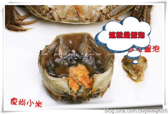 �з��ħ������� www.sk010.cn